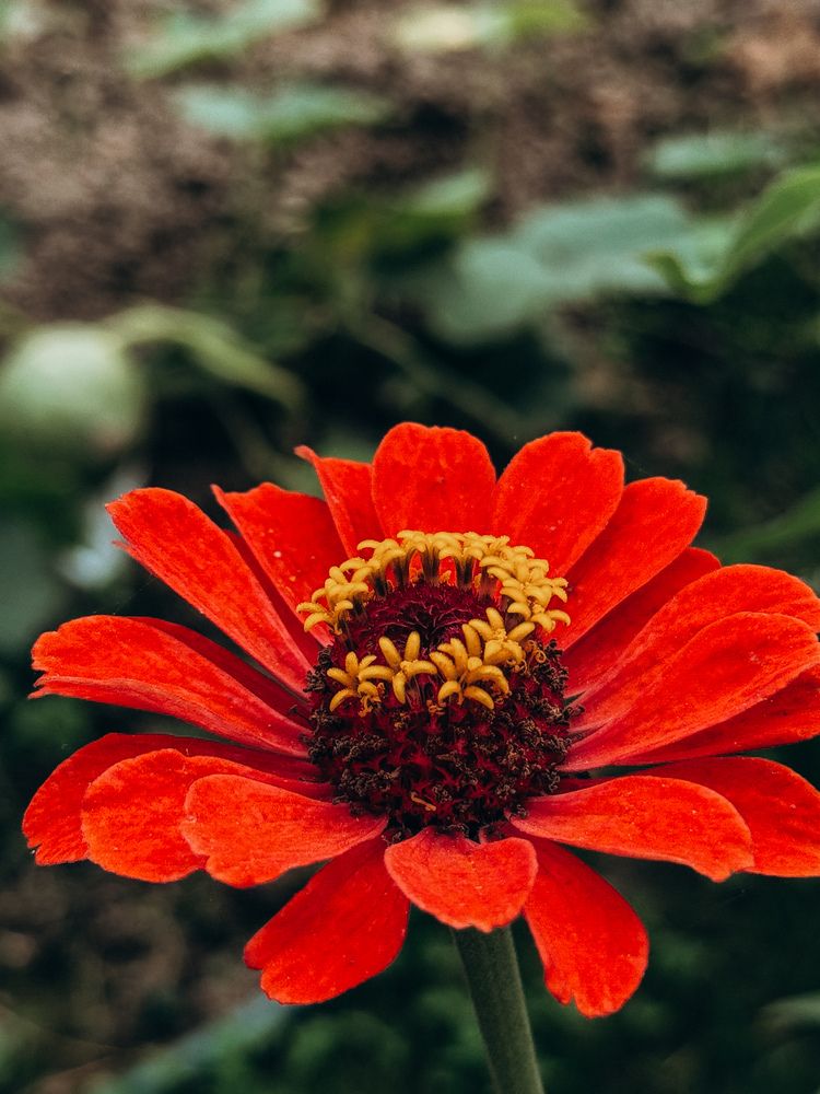 Фотография автора Марина Рябуха