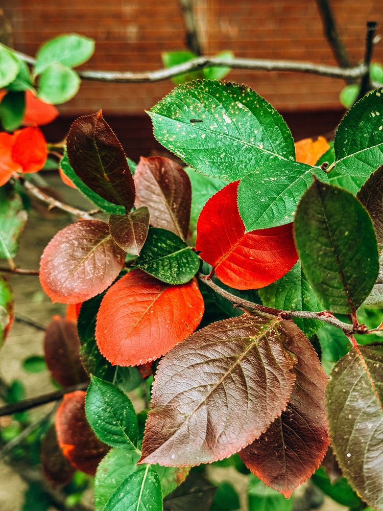 Фотография автора Марина Рябуха