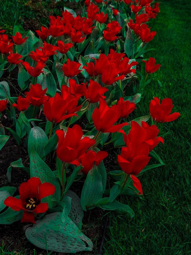 Photograph by Anna Amarova