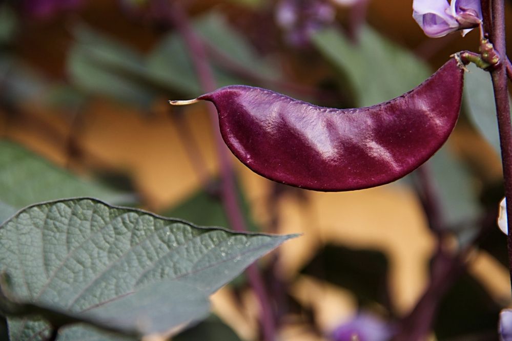 Фотография автора Владимир Ли