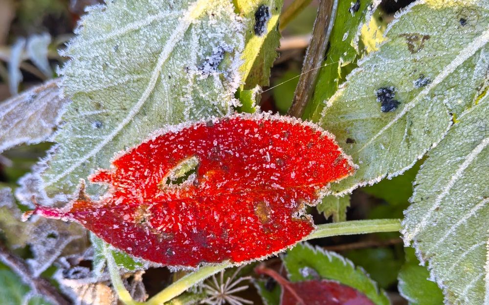 Photograph by Olga Kot