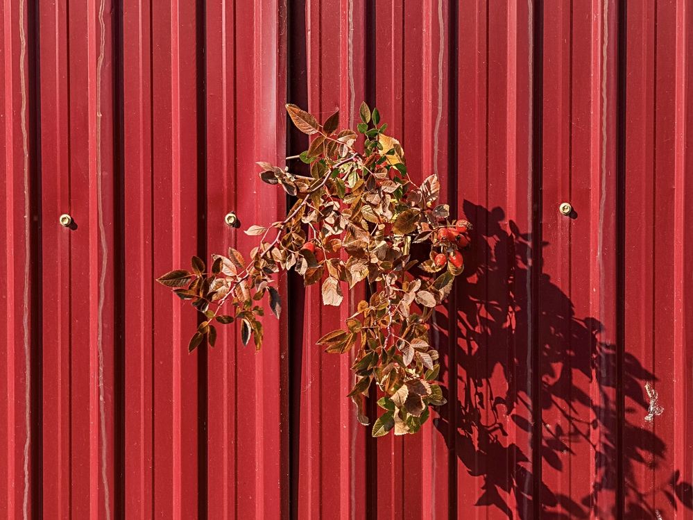 Фотография автора Владимир Ли