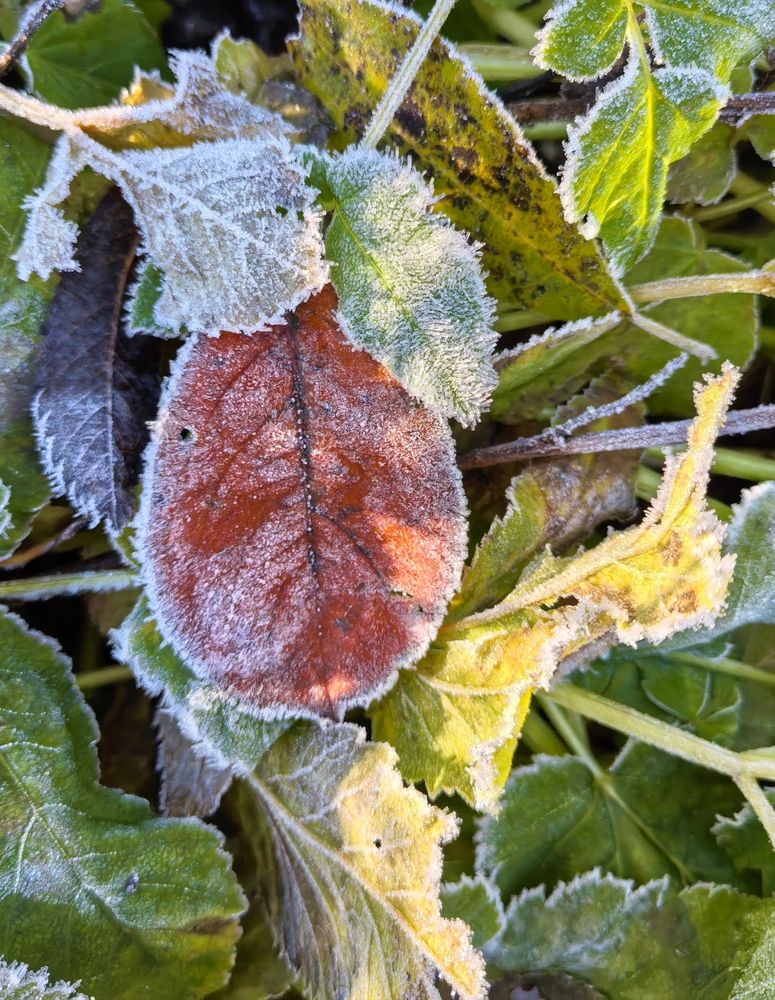 Photograph by Olga Kot