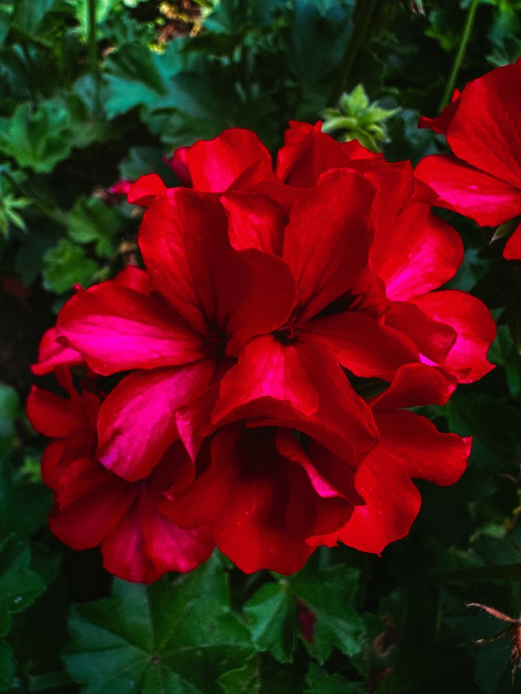 Фотография автора Tatyana Komissarova