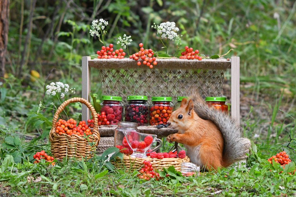 Photograph by Елена Гасенко