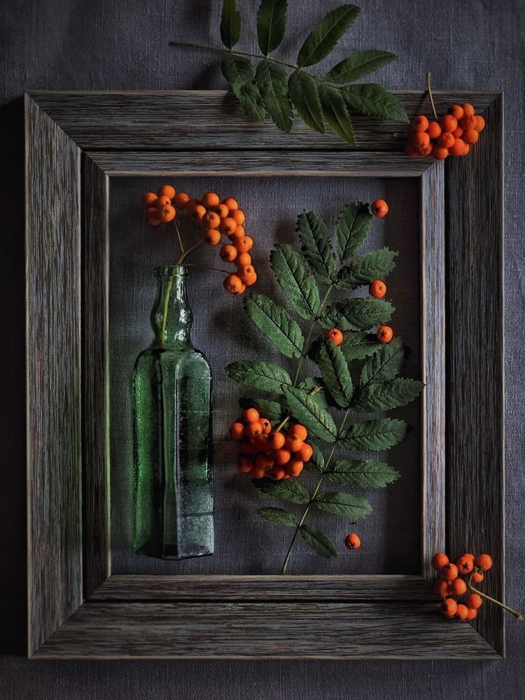 Photograph by Ольга Захарикова