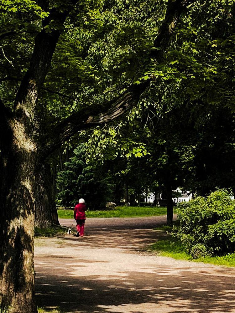 Photograph by Анастасия Гульванюк