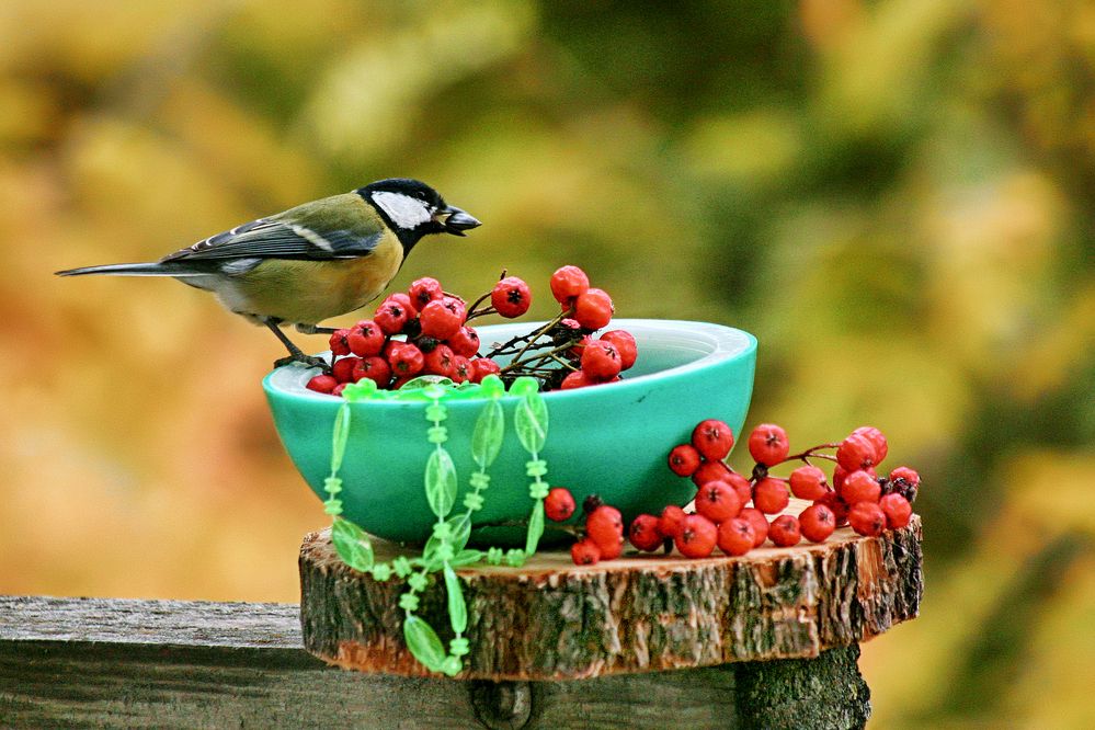 Photograph by Vitaliy Saposhnikov