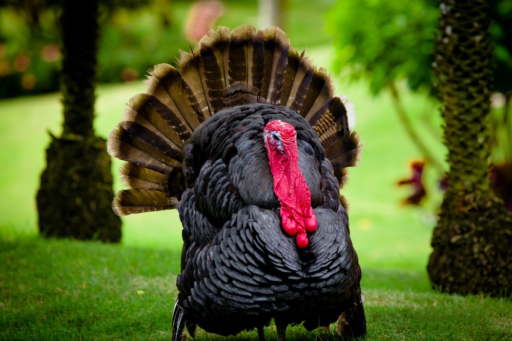 Photograph by Владимир Говоров