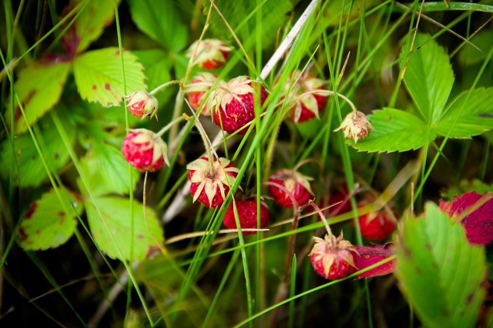 Photograph by Владимир Говоров