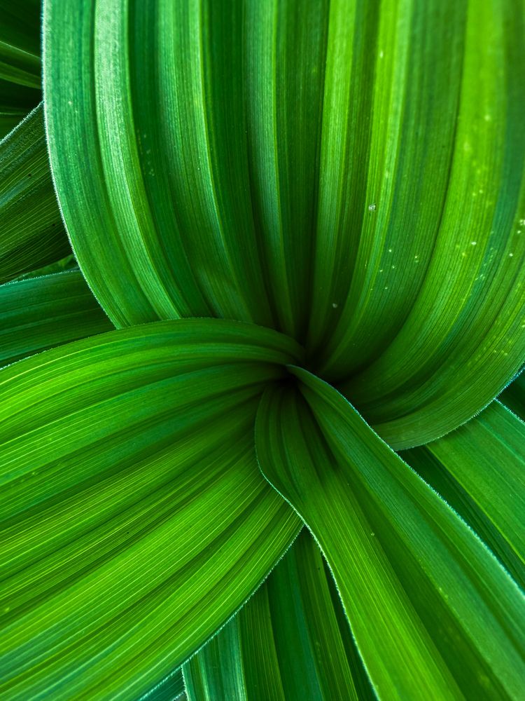 Фотография автора Онучина Юлия