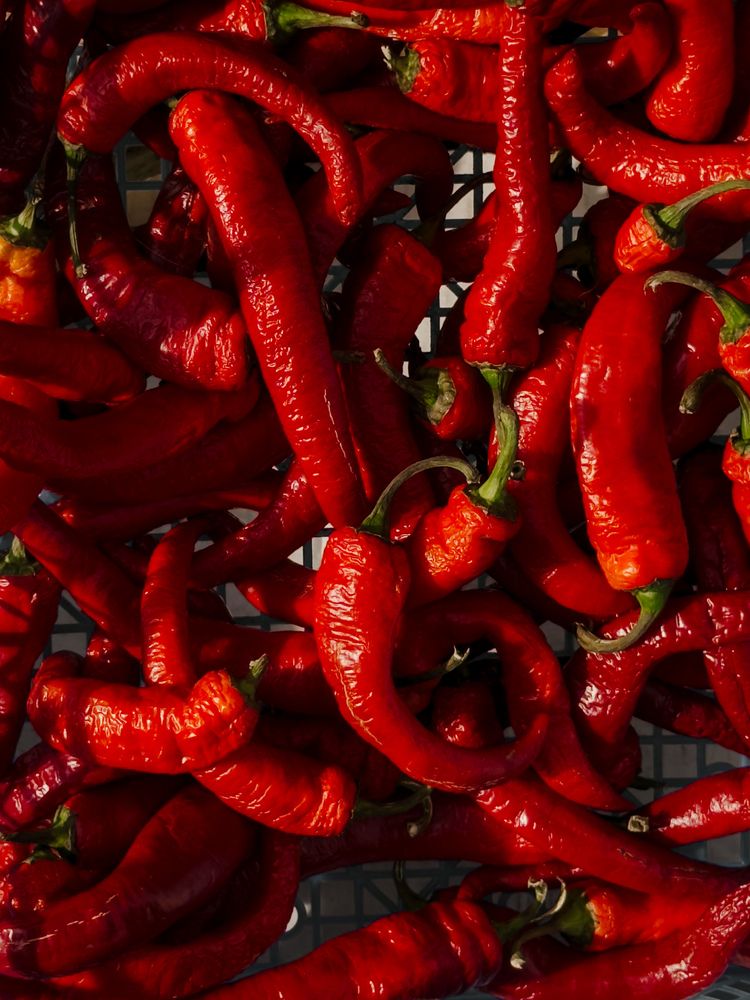 Фотография автора Анастасия Терехова