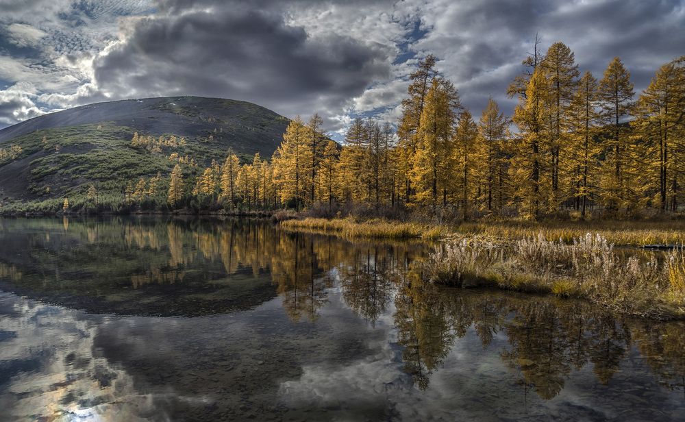 Photograph by Светлана Гореликова