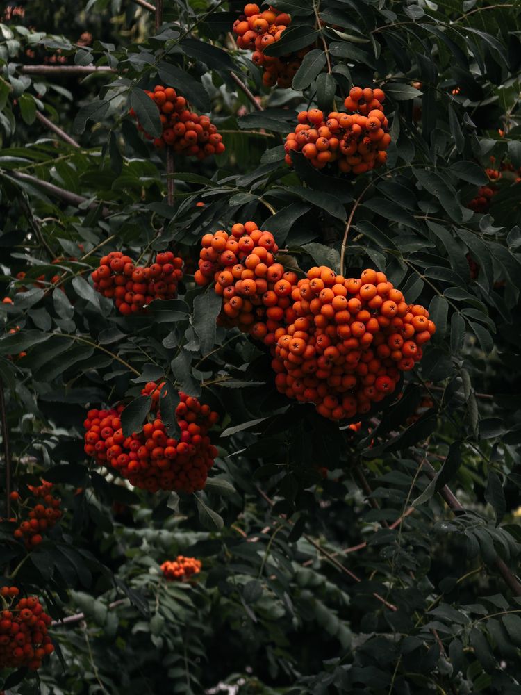 Фотография автора Анастасия Терехова