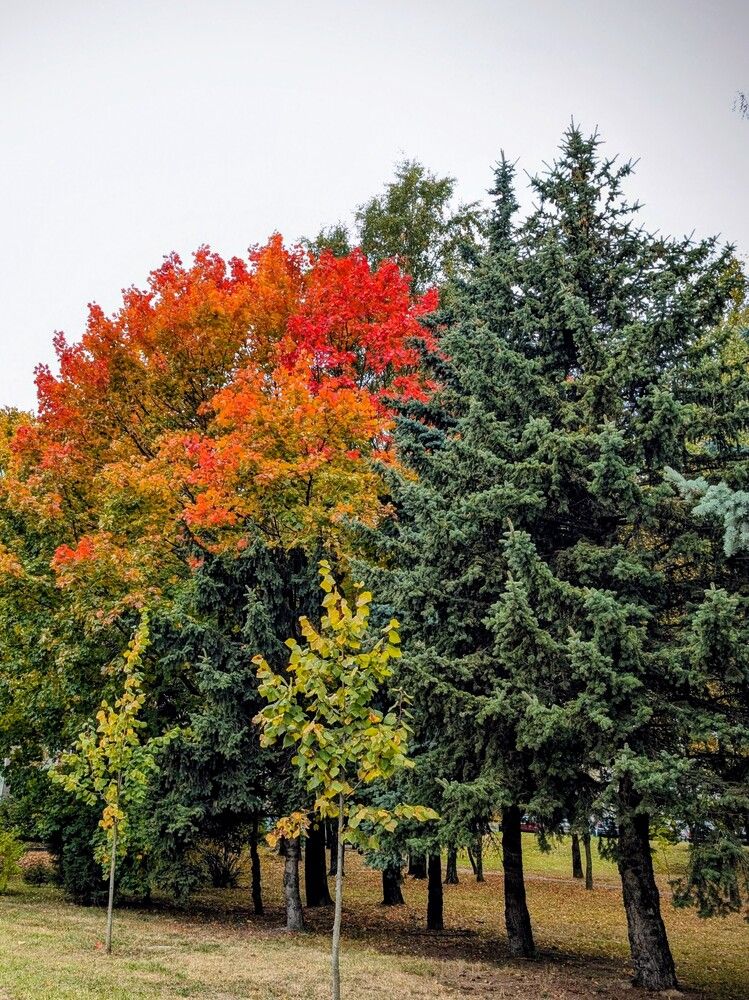 Фотография автора Рузинова Елена