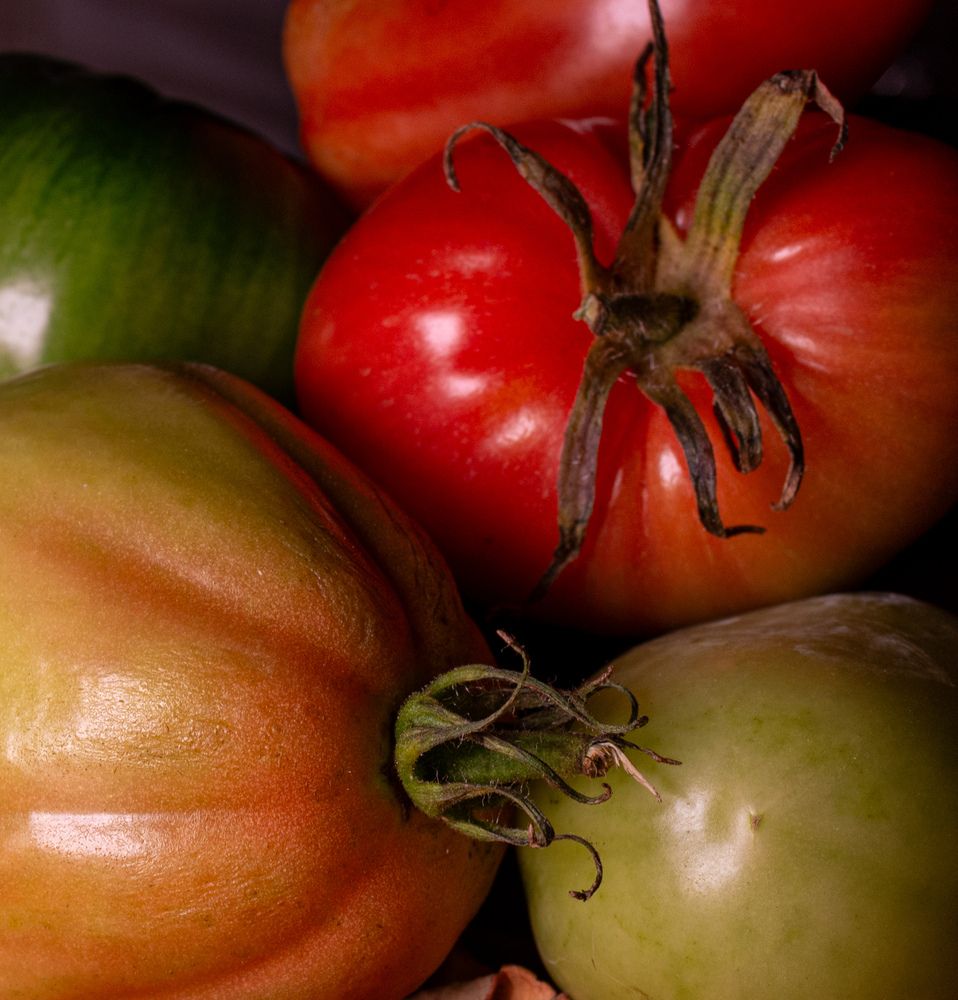 Photograph by Василий Богомолов