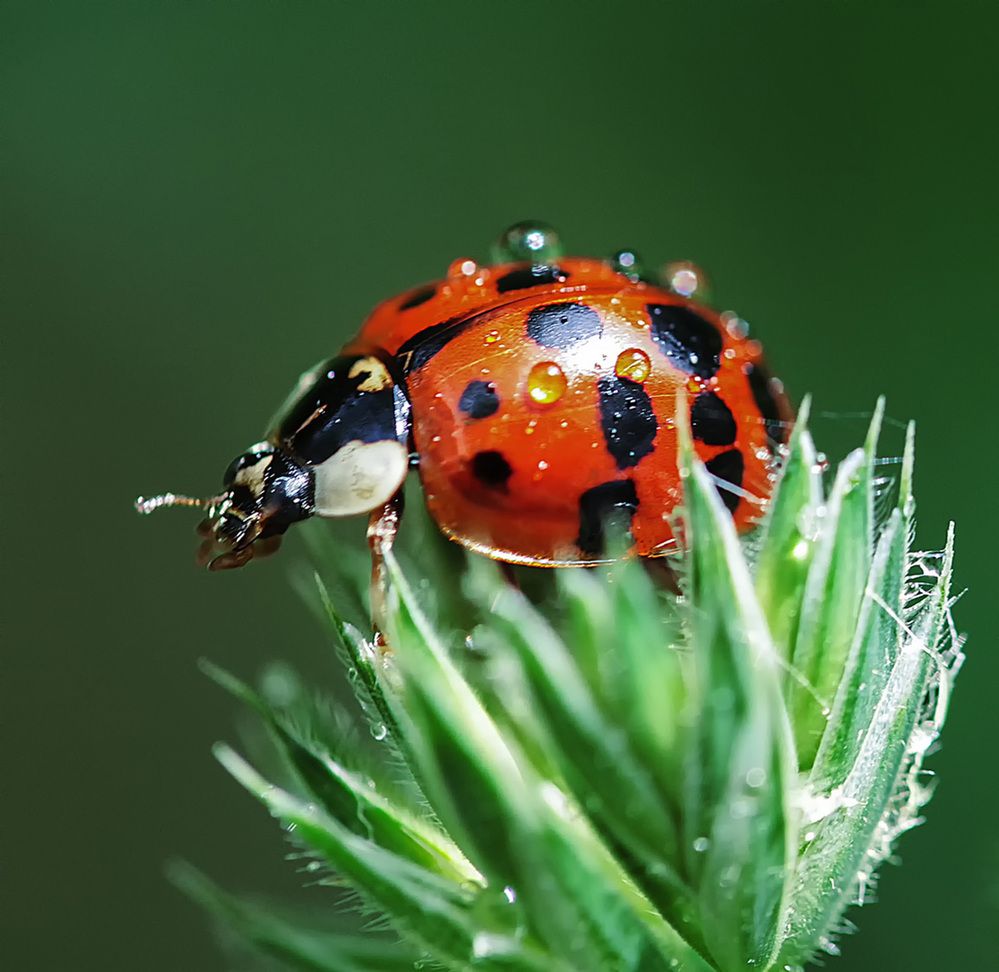 Фотография автора Александр