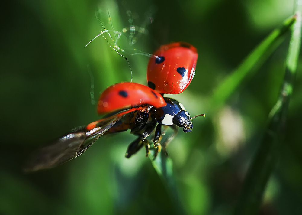 Фотография автора Александр