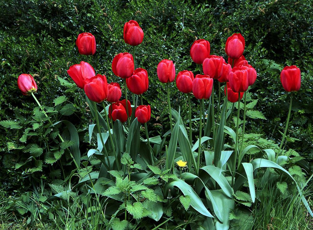 Фотография автора Александр