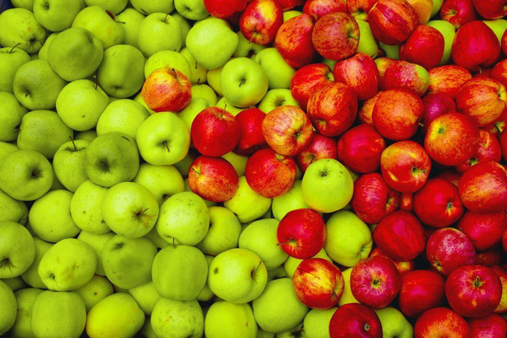 Photograph by Александр Журавлев