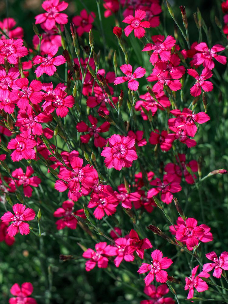 Photograph by Виталий Шмачко