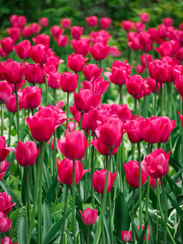 Photograph by Виталий Шмачко