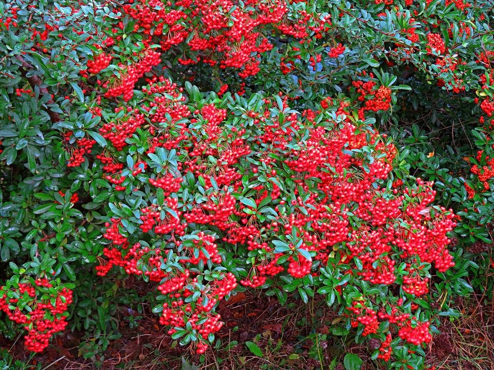 Photograph by Фартушняк Сергей