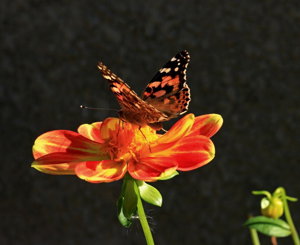 Photograph by Игорь Куленко