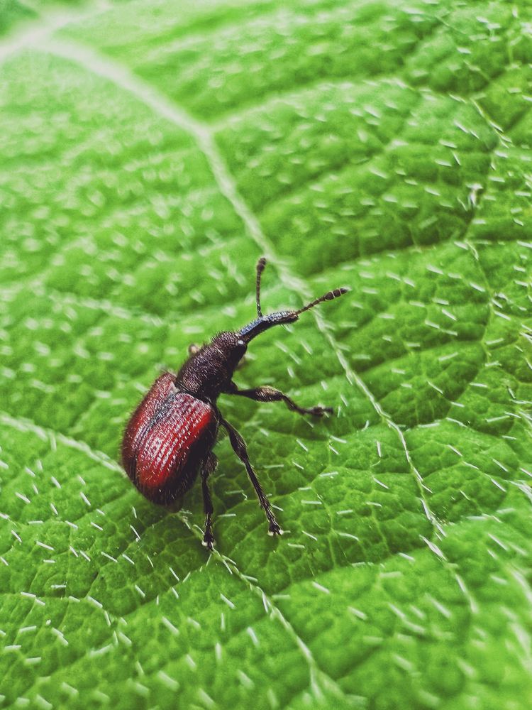 Photograph by Елена Чулюнина