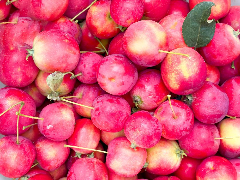 Photograph by Angelina