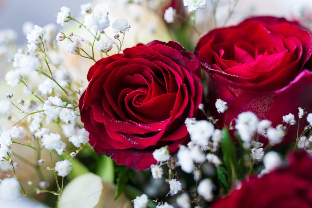 Photograph by Angelina