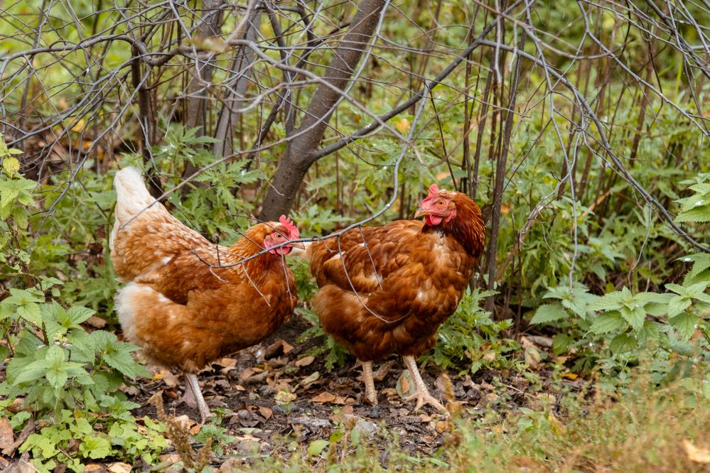 Photograph by Angelina