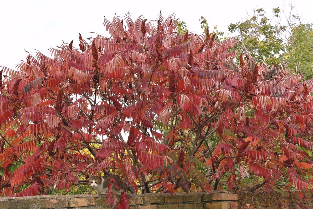 Photograph by RADOVAN TEODOROVIĆ