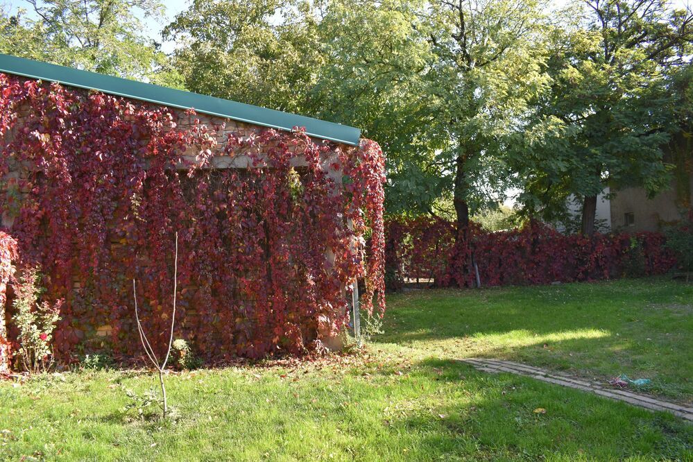 Photograph by RADOVAN TEODOROVIĆ