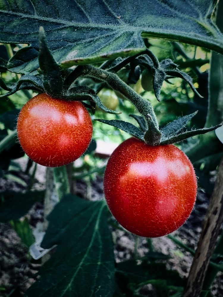 Photograph by Юлия Чернышёва