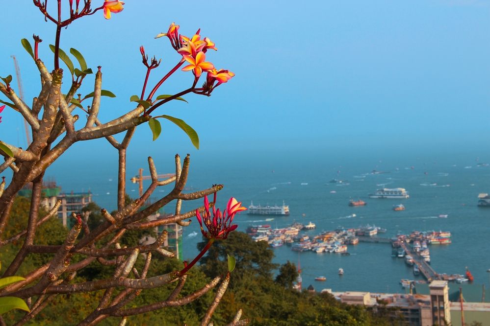 Photograph by Герасимов Игорь