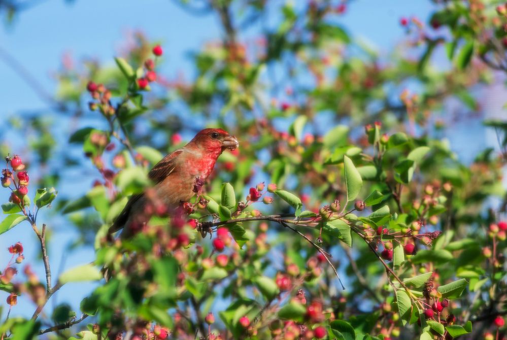 Фотография автора Владимир Каштанов