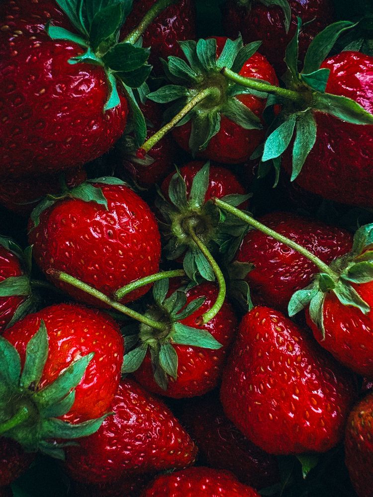 Photograph by Марина Харитонова