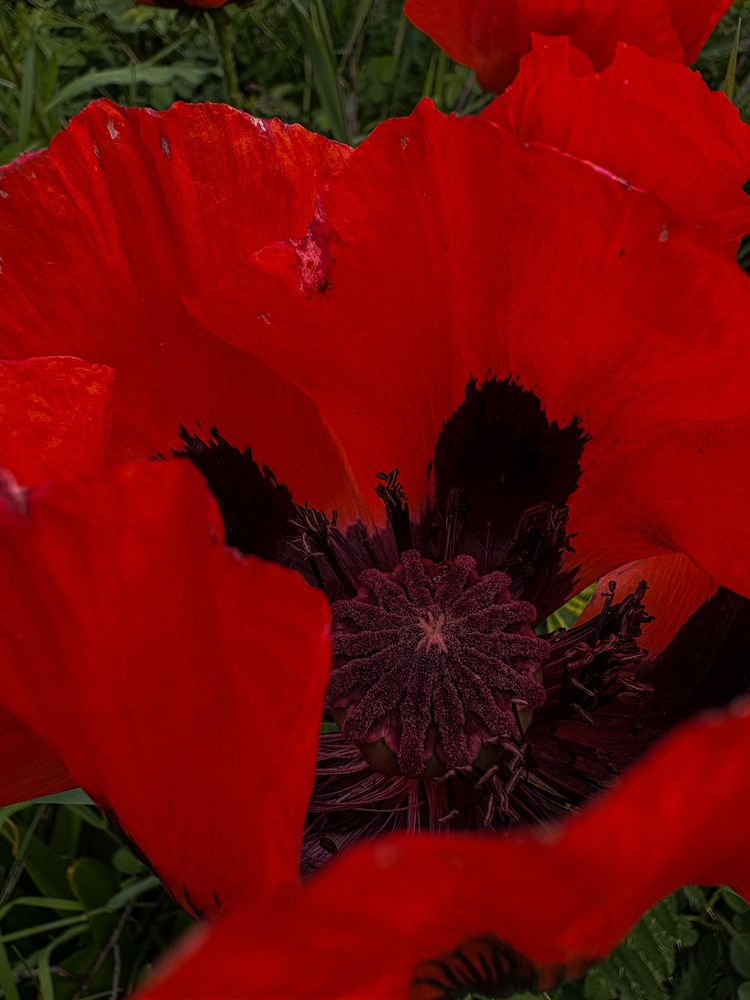 Photograph by Марина Харитонова