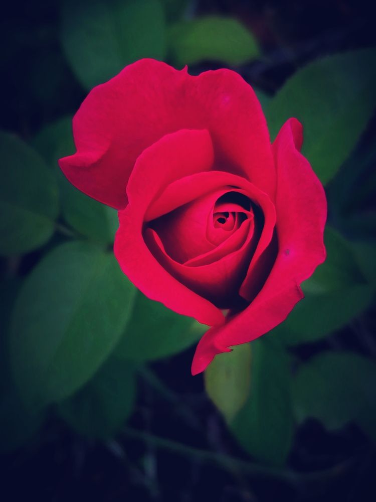 Photograph by Алексей Титков