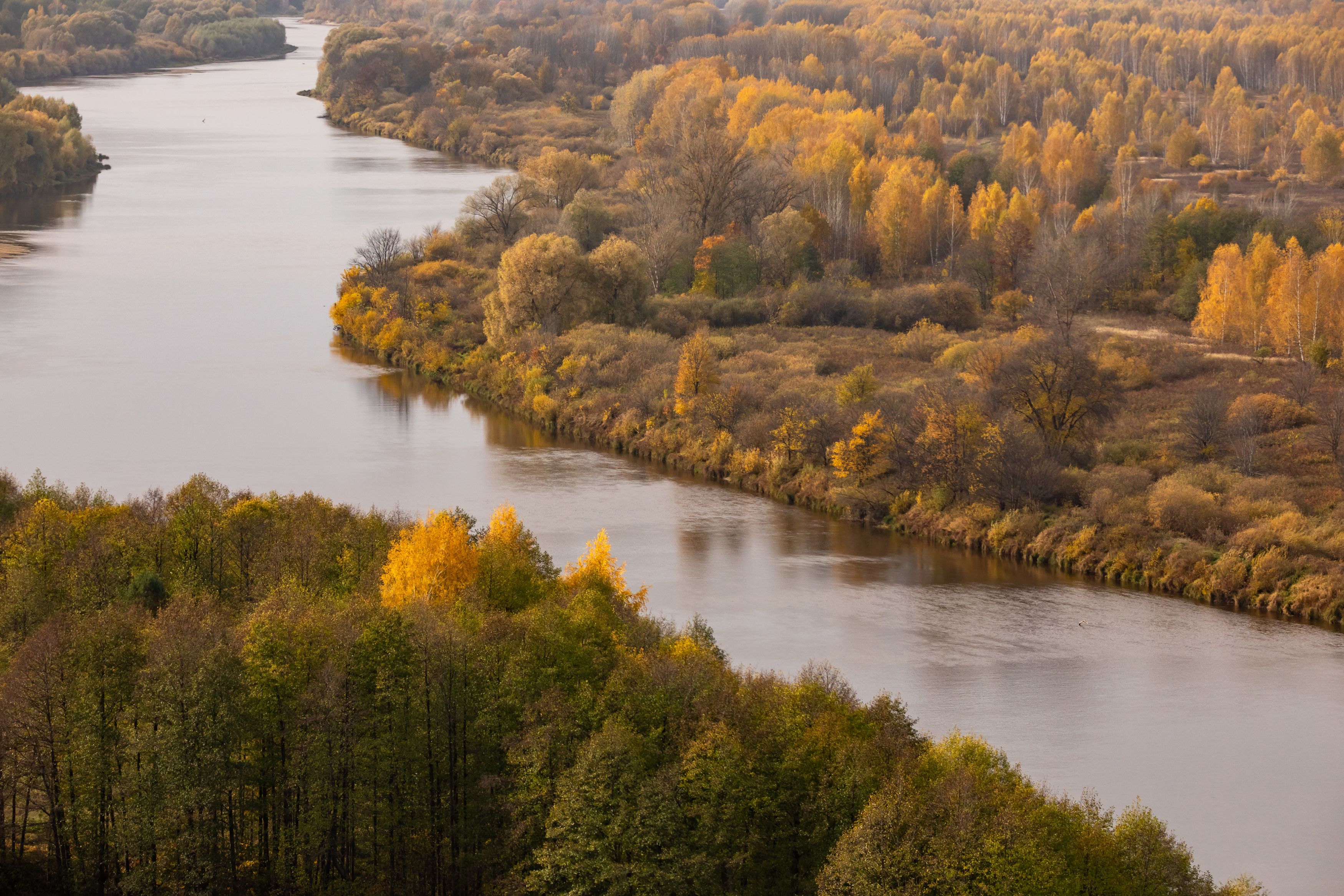 Photograph by Светлана Тараканова