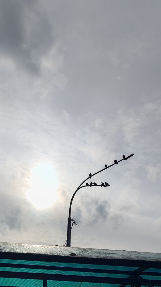Photograph by Наталья Шендяпина