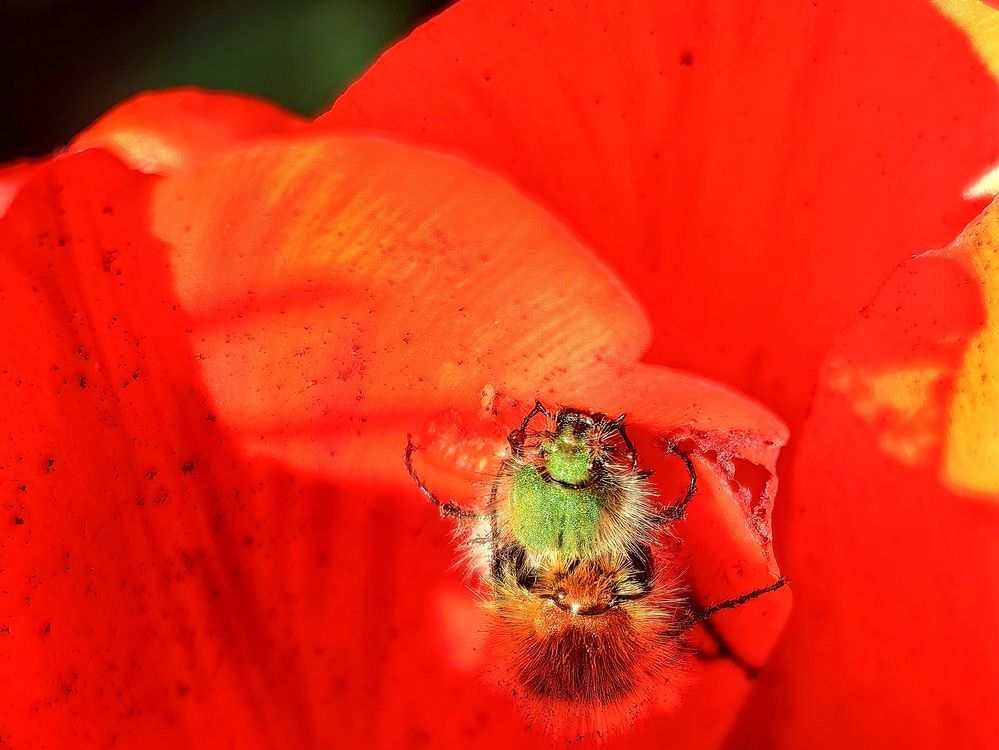 Photograph by OLGA MIKHNEVICH