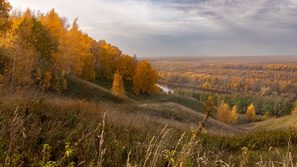 Photograph by Светлана Тараканова