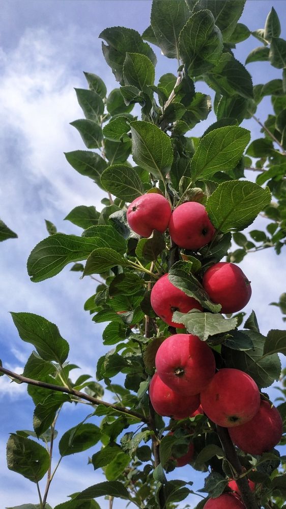 Photograph by Наталья Филянина