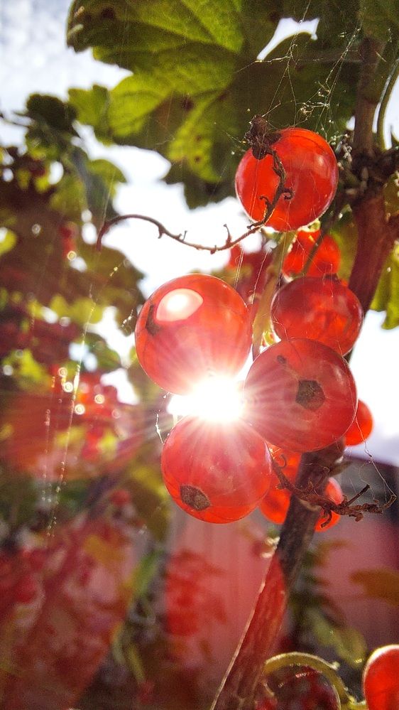 Photograph by Наталья Филянина