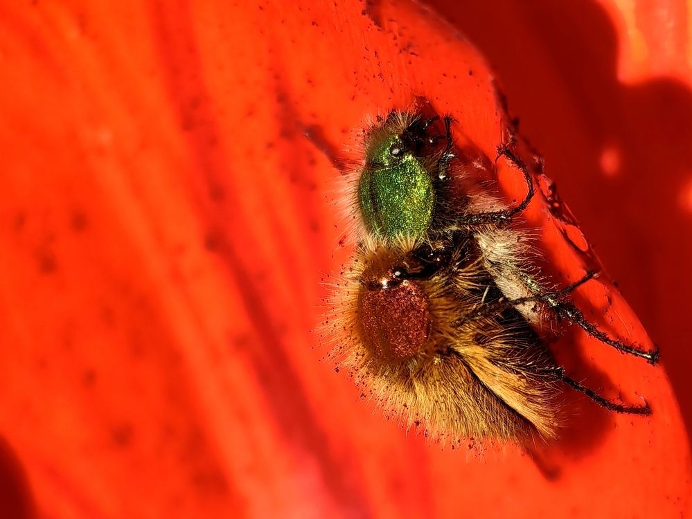 Photograph by OLGA MIKHNEVICH