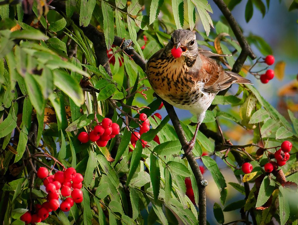 Photograph by Алексей Козлов