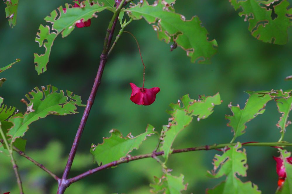 Фотография автора Татьяна Сергиенко