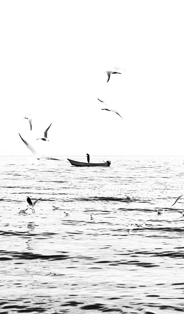 Photograph by Ashkan Sa